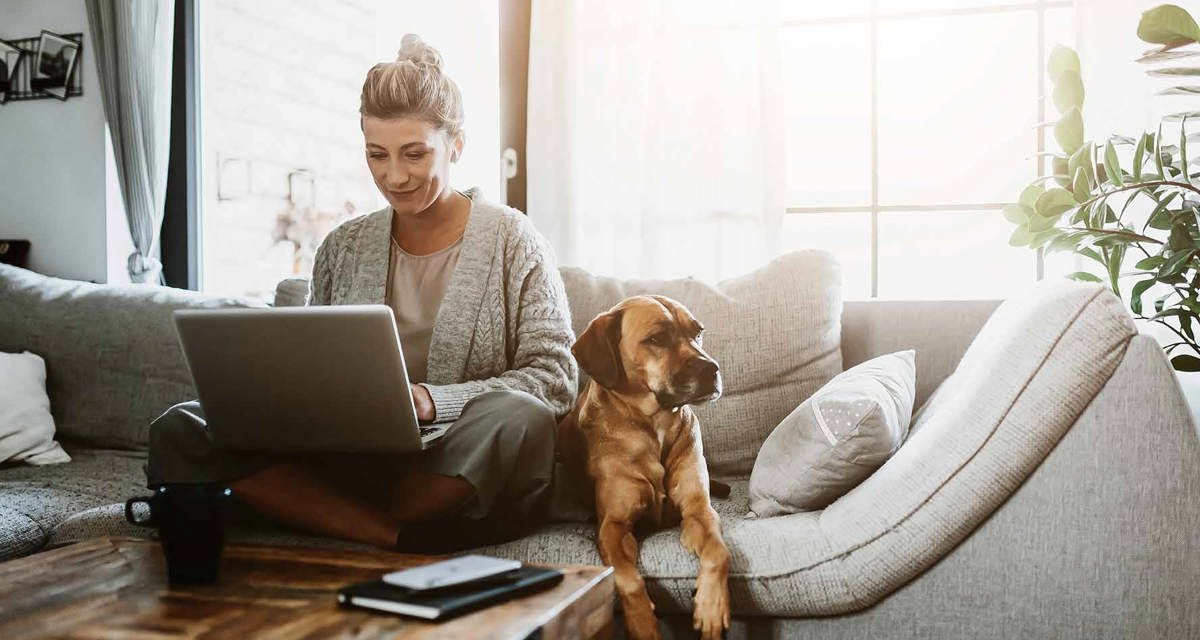 A woman sits on her sofa typing on her laptop. Her dog sits next to her.